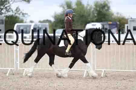 TOM-1512