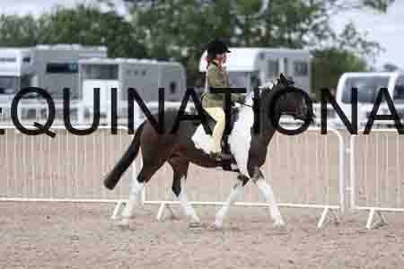 TOM-1513