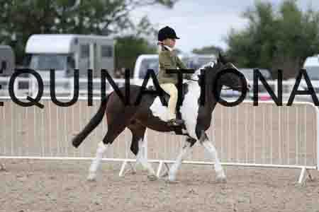 TOM-1514