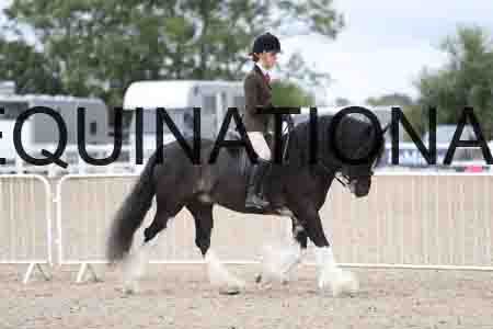 TOM-1516