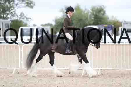 TOM-1517