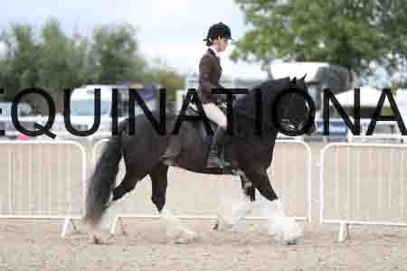 TOM-1518