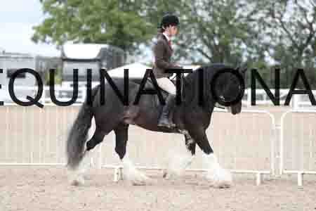 TOM-1519