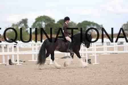 TOM-1520