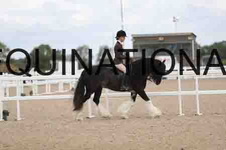 TOM-1521
