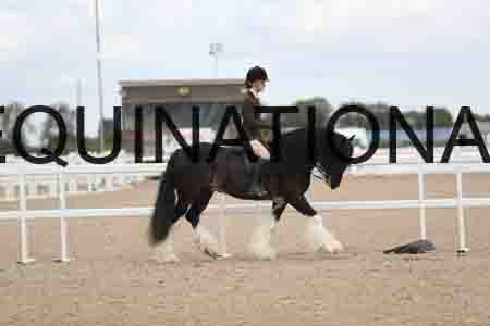 TOM-1522
