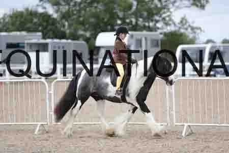TOM-1523