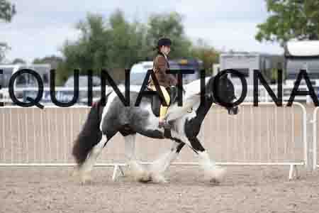 TOM-1524