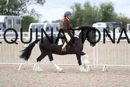 TOM-1526