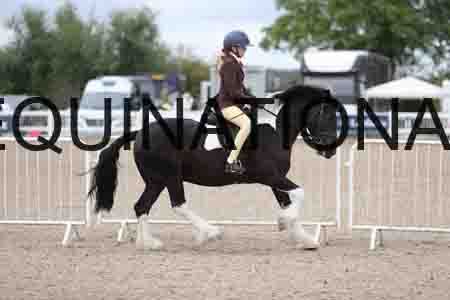 TOM-1527
