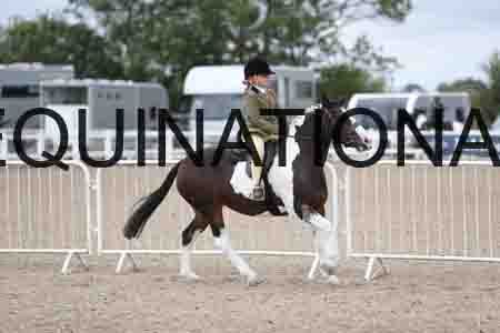 TOM-1528