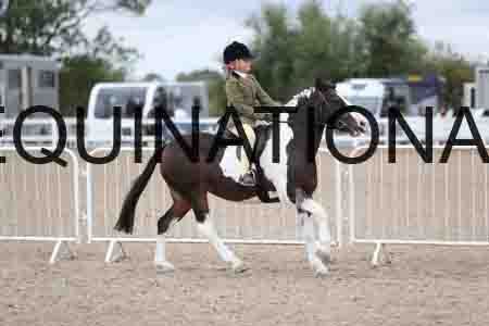 TOM-1529