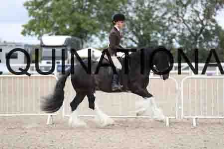 TOM-1532