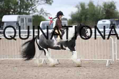 TOM-1533