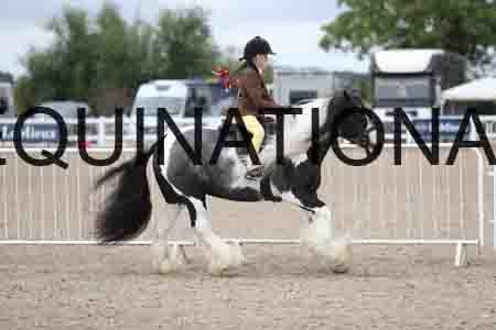 TOM-1534