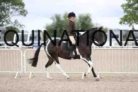 TOM-1535