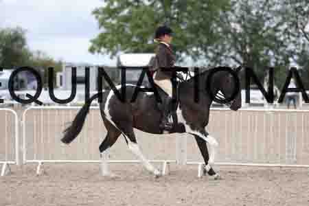 TOM-1536