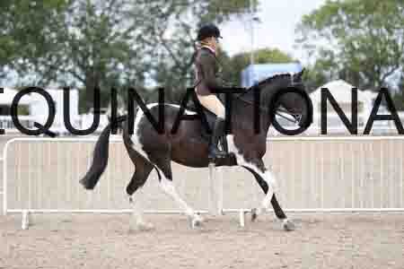 TOM-1537