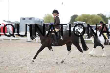 TOM-1539