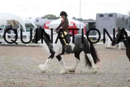 TOM-1541