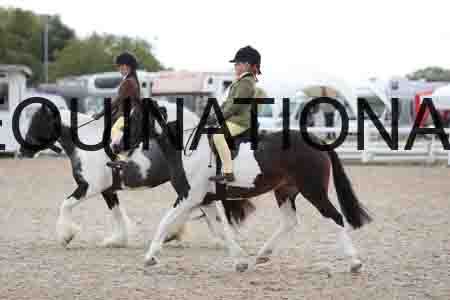 TOM-1542