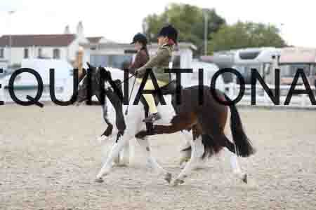 TOM-1543