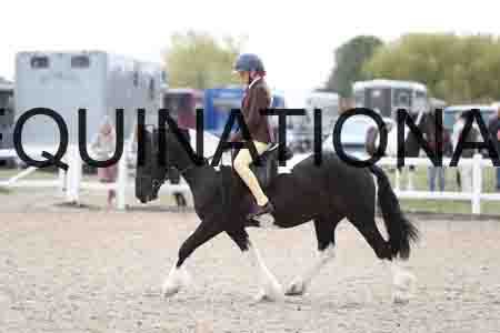 TOM-1544