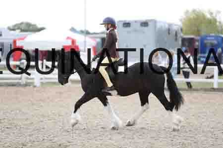 TOM-1545