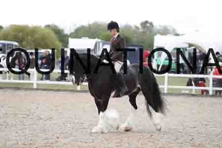 TOM-1546