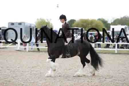 TOM-1547