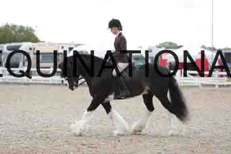 TOM-1548