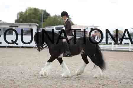 TOM-1549