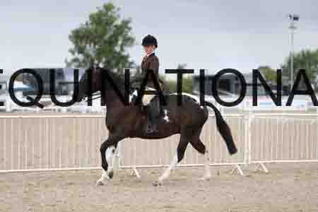 TOM-1550