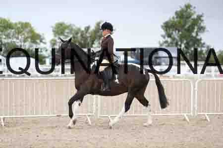 TOM-1551