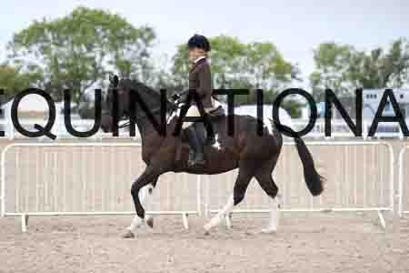 TOM-1552