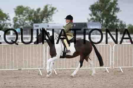 TOM-1553