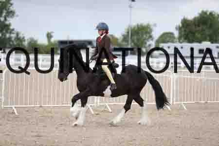 TOM-1555