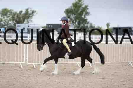 TOM-1556
