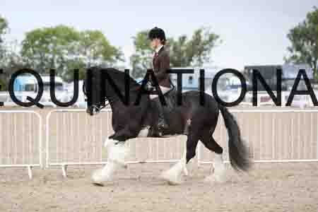TOM-1557