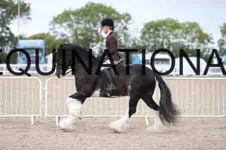 TOM-1558