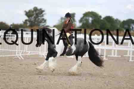 TOM-1559