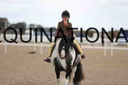 TOM-1562