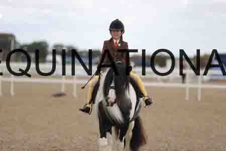 TOM-1563