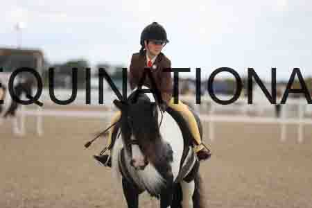 TOM-1565