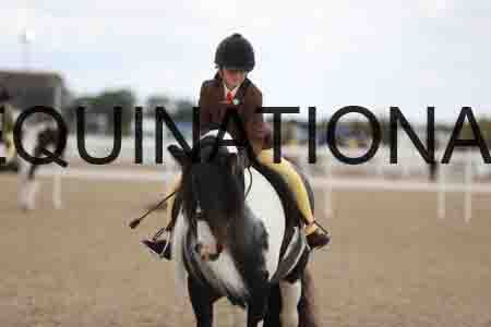 TOM-1566