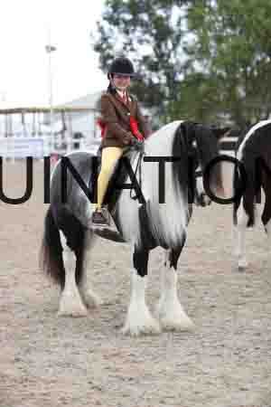 TOM-1567