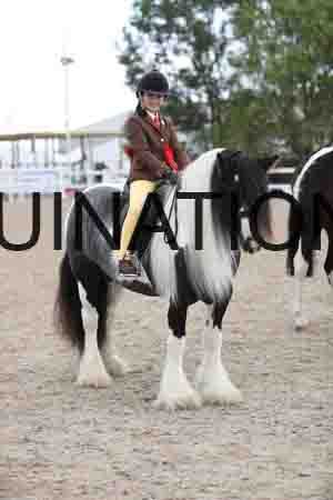 TOM-1568