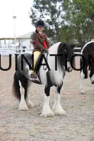 TOM-1569