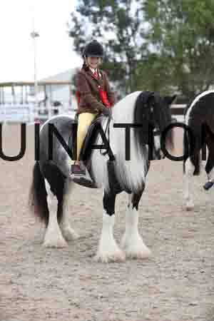 TOM-1570