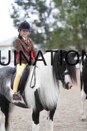 TOM-1571